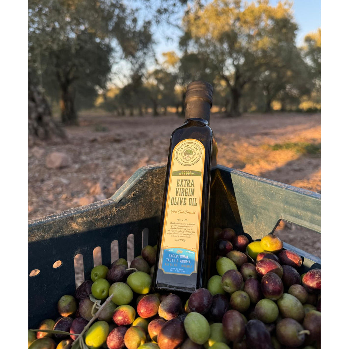 Artem Oliva® Early Harvest Extra Virgin Olive Oil EVOO Cold Pressed Olives High Ployphenol From Aegean Izmir Turkey 500ml